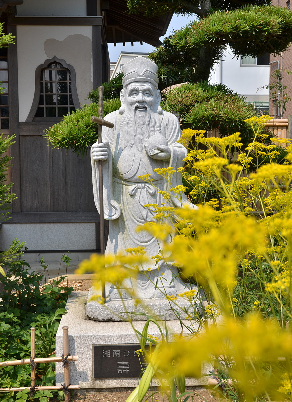 寿 老 尊